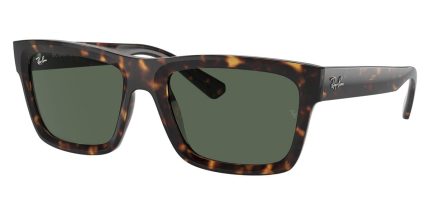 Ray-Ban Warren RB 4396 1359/71