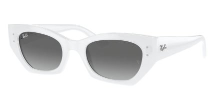 Ray-Ban Zena RB 4430 6759/11