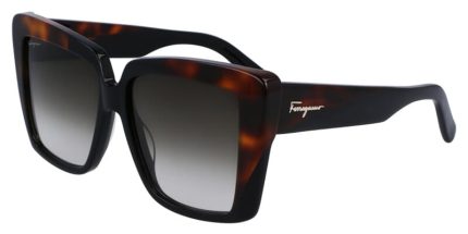 Ferragamo SF1060S 006