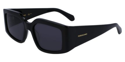 Ferragamo SF1101S 001