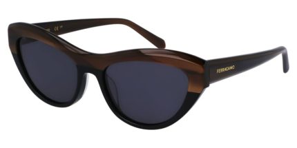 Ferragamo SF1103S 217