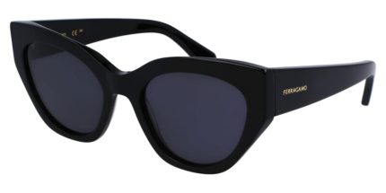 Ferragamo SF1107S 001