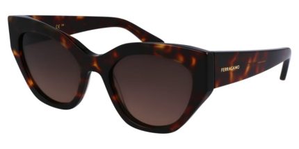 Ferragamo SF1107S 242
