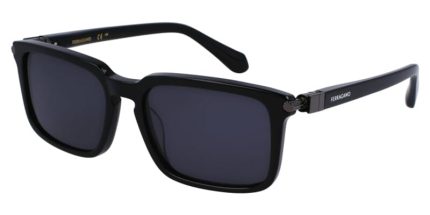 Ferragamo SF1110S 001