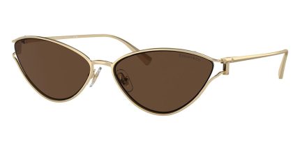 Tiffany & Co TF3095 6193/3G