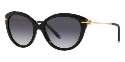 Tiffany & Co TF4187 8001/3C