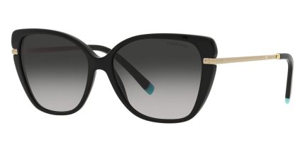 Tiffany & Co TF4190 8001/3C
