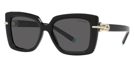 Tiffany & Co TF4199 8001/S4