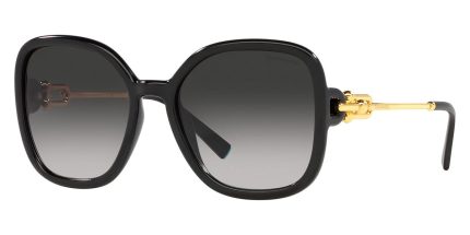 Tiffany & Co TF4202U 8001/3C