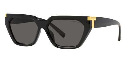 Tiffany & Co TF4205U 8001/S4