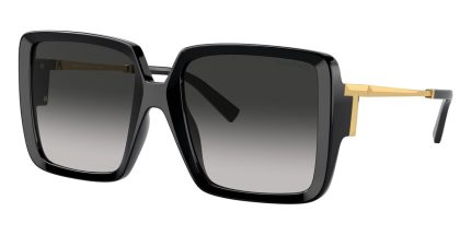Tiffany & Co TF4212U 8001/3C