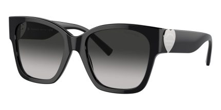 Tiffany & Co TF4216 8001/3C