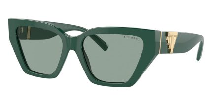 Tiffany & Co TF4218 8408/82