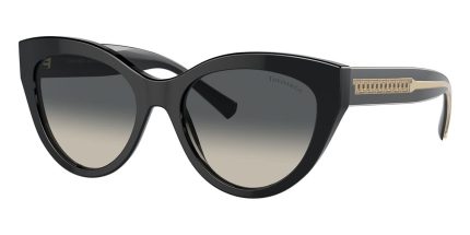 Tiffany & Co TF4220 8001/71