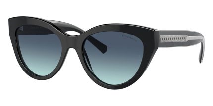 Tiffany & Co TF4220 8001/9S