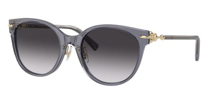Tiffany & Co TF4223D 8405/3C